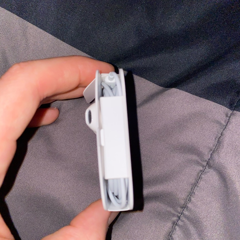 Apple wired headphones